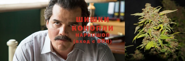 молекула духа Белокуриха