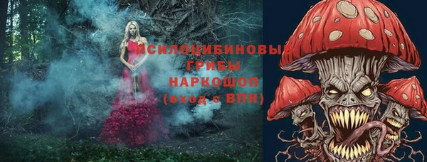 метадон Беломорск