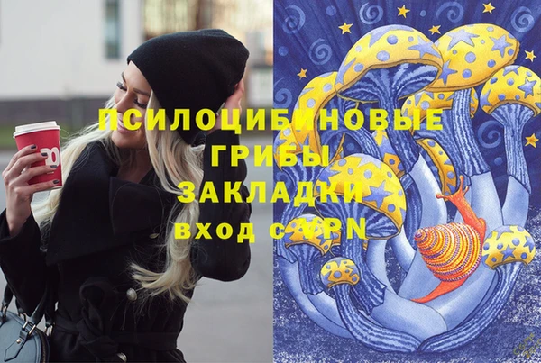 молекула духа Белокуриха