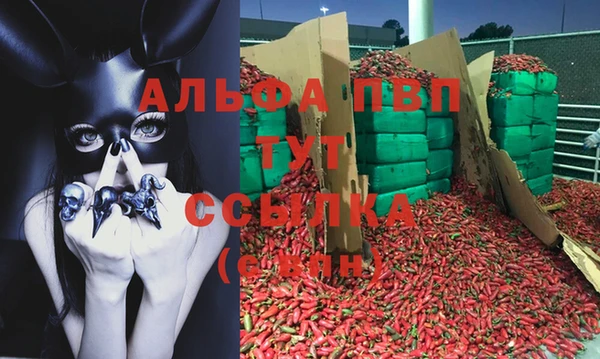spice Белоозёрский