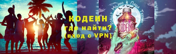 шишки Билибино