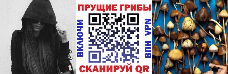 Купить где Володарск Псилоцибиновые грибы MAGIC MUSHROOMS