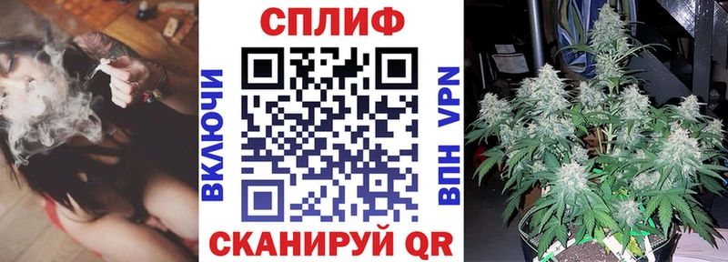 Купить закладки  Володарск  Каннабис конопля 